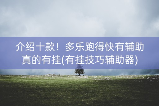 介绍十款！多乐跑得快有辅助真的有挂(有挂技巧辅助器)