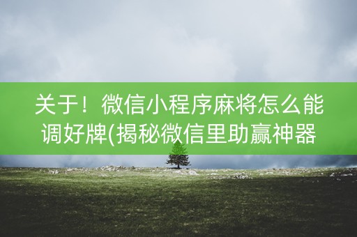 关于！微信小程序麻将怎么能调好牌(揭秘微信里助赢神器购买)