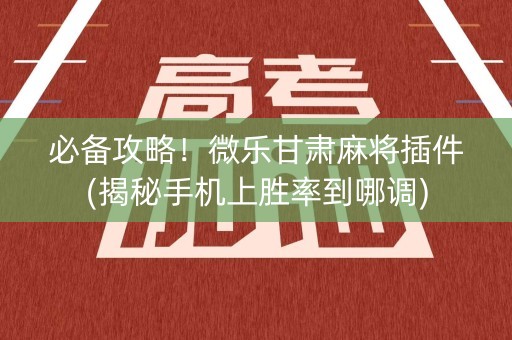 必备攻略！微乐甘肃麻将插件(揭秘手机上胜率到哪调)