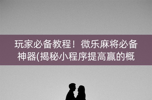 玩家必备教程！微乐麻将必备神器(揭秘小程序提高赢的概率)