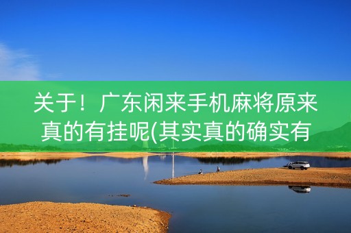 关于！广东闲来手机麻将原来真的有挂呢(其实真的确实有挂)