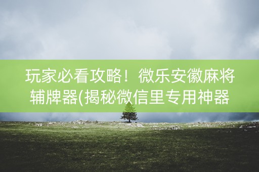 玩家必看攻略！微乐安徽麻将辅牌器(揭秘微信里专用神器)