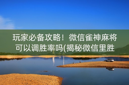 玩家必备攻略！微信雀神麻将可以调胜率吗(揭秘微信里胜率到哪调)