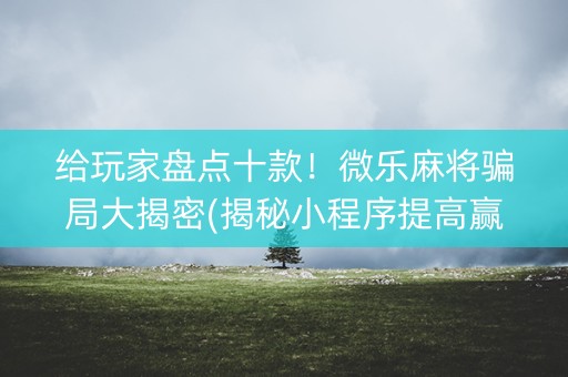 给玩家盘点十款！微乐麻将骗局大揭密(揭秘小程序提高赢的概率)