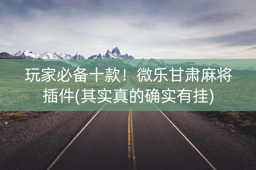 玩家必备十款！微乐甘肃麻将插件(其实真的确实有挂)