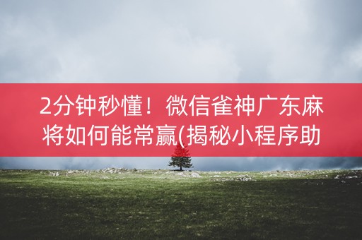 2分钟秒懂！微信雀神广东麻将如何能常赢(揭秘小程序助赢软件)