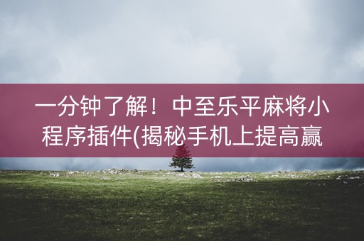 一分钟了解！中至乐平麻将小程序插件(揭秘手机上提高赢的概率)