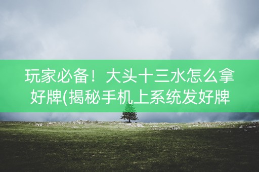 玩家必备！大头十三水怎么拿好牌(揭秘手机上系统发好牌)