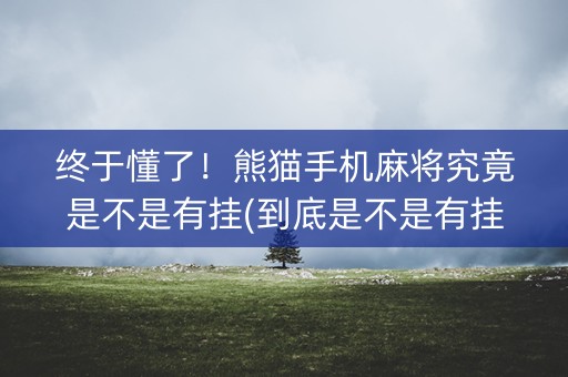 终于懂了！熊猫手机麻将究竟是不是有挂(到底是不是有挂)