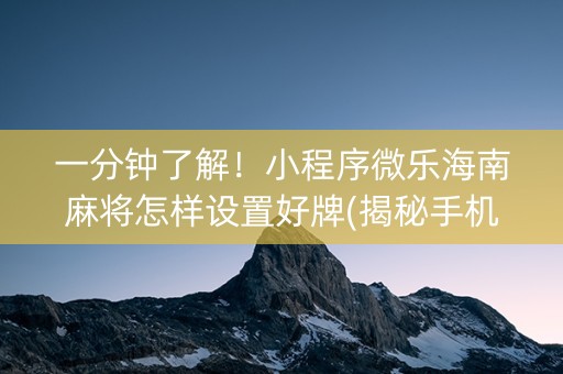 一分钟了解！小程序微乐海南麻将怎样设置好牌(揭秘手机上辅牌器)