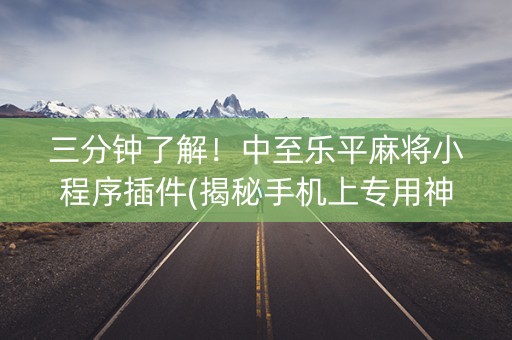 三分钟了解！中至乐平麻将小程序插件(揭秘手机上专用神器)