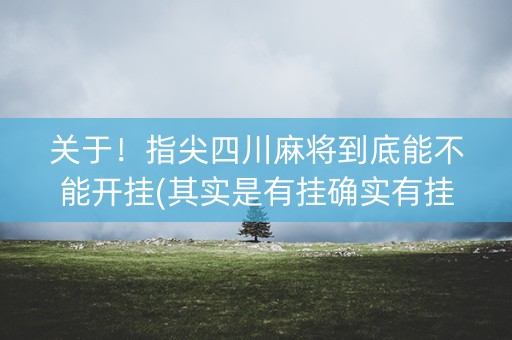 关于！指尖四川麻将到底能不能开挂(其实是有挂确实有挂)