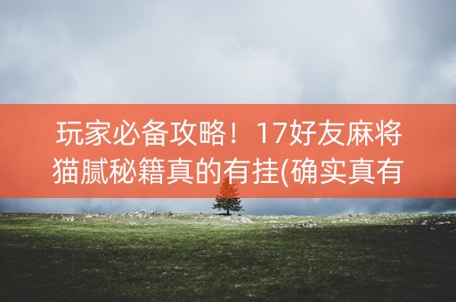 玩家必备攻略！17好友麻将猫腻秘籍真的有挂(确实真有挂)