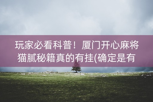 玩家必看科普！厦门开心麻将猫腻秘籍真的有挂(确定是有挂)