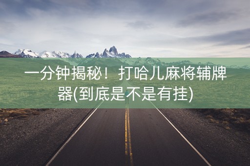 一分钟揭秘！打哈儿麻将辅牌器(到底是不是有挂)