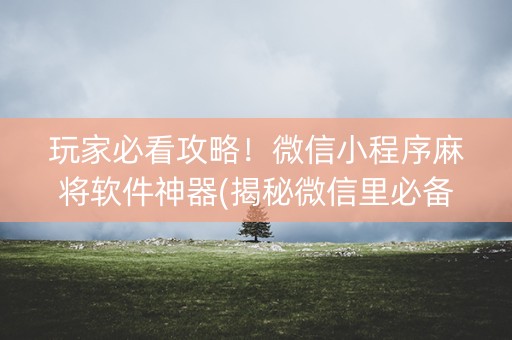 玩家必看攻略！微信小程序麻将软件神器(揭秘微信里必备神器)