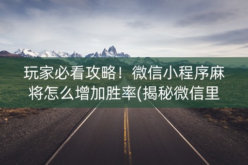 玩家必看攻略！微信小程序麻将怎么增加胜率(揭秘微信里怎么容易赢)