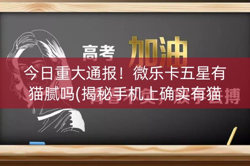 今日重大通报！微乐卡五星有猫腻吗(揭秘手机上确实有猫腻)