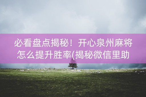 必看盘点揭秘！开心泉州麻将怎么提升胜率(揭秘微信里助攻神器)