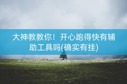 大神教教你！开心跑得快有辅助工具吗(确实有挂)