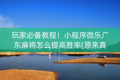 玩家必备教程！小程序微乐广东麻将怎么提高胜率(原来真的有挂)
