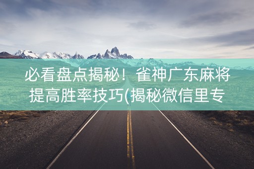 必看盘点揭秘！雀神广东麻将提高胜率技巧(揭秘微信里专用神器)