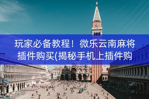 玩家必备教程！微乐云南麻将插件购买(揭秘手机上插件购买)