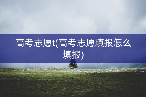 高考志愿t(高考志愿填报怎么填报)