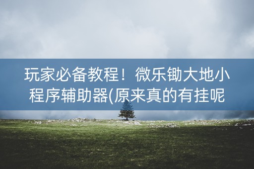 玩家必备教程！微乐锄大地小程序辅助器(原来真的有挂呢)