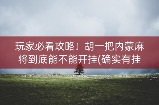 玩家必看攻略！胡一把内蒙麻将到底能不能开挂(确实有挂)