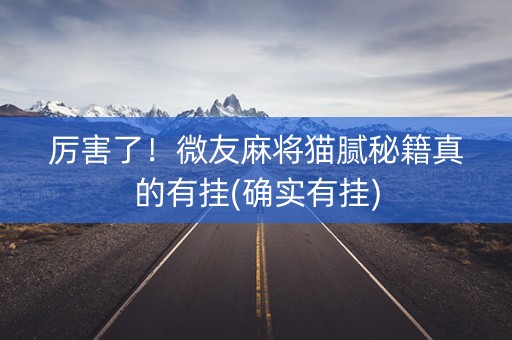 厉害了！微友麻将猫腻秘籍真的有挂(确实有挂)