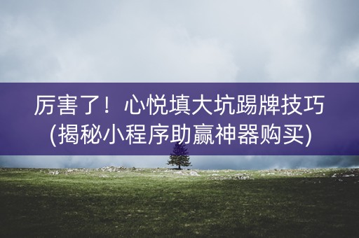 厉害了！心悦填大坑踢牌技巧(揭秘小程序助赢神器购买)