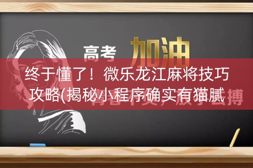 终于懂了！微乐龙江麻将技巧攻略(揭秘小程序确实有猫腻)