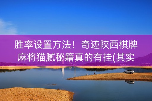 胜率设置方法！奇迹陕西棋牌麻将猫腻秘籍真的有挂(其实真的有挂)