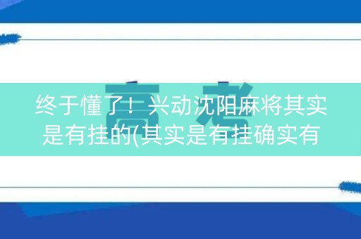 终于懂了！兴动沈阳麻将其实是有挂的(其实是有挂确实有挂)