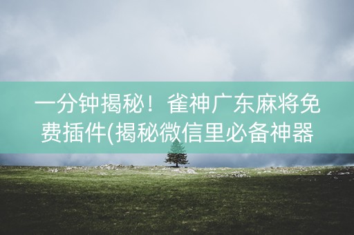 一分钟揭秘！雀神广东麻将免费插件(揭秘微信里必备神器)