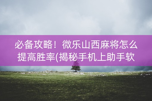必备攻略！微乐山西麻将怎么提高胜率(揭秘手机上助手软件)