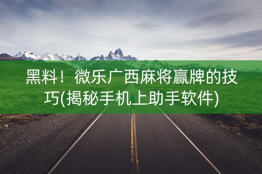 黑料！微乐广西麻将赢牌的技巧(揭秘手机上助手软件)