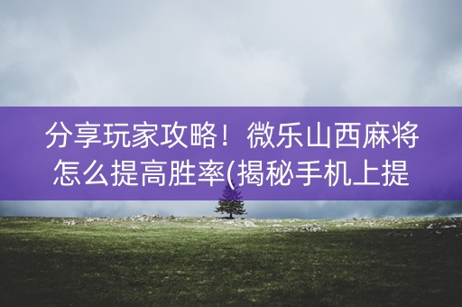 分享玩家攻略！微乐山西麻将怎么提高胜率(揭秘手机上提高胜率)