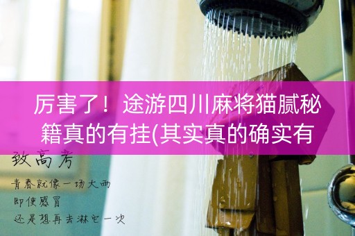 厉害了！途游四川麻将猫腻秘籍真的有挂(其实真的确实有挂)