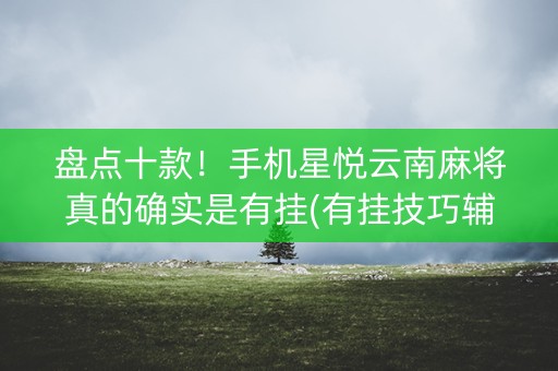 盘点十款！手机星悦云南麻将真的确实是有挂(有挂技巧辅助器)