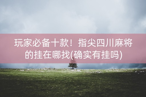 玩家必备十款！指尖四川麻将的挂在哪找(确实有挂吗)