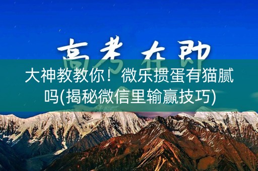 大神教教你！微乐掼蛋有猫腻吗(揭秘微信里输赢技巧)