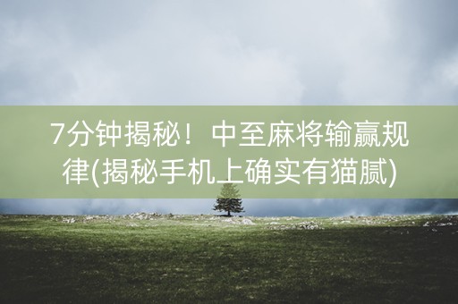 7分钟揭秘！中至麻将输赢规律(揭秘手机上确实有猫腻)