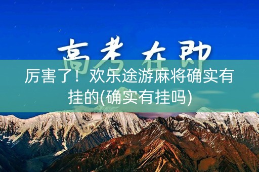 厉害了！欢乐途游麻将确实有挂的(确实有挂吗)