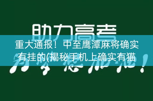 重大通报！中至鹰潭麻将确实有挂的(揭秘手机上确实有猫腻)