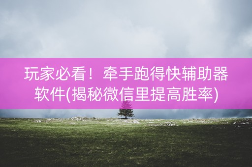 玩家必看！牵手跑得快辅助器软件(揭秘微信里提高胜率)