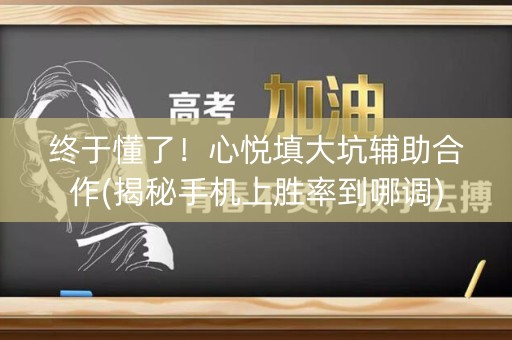 终于懂了！心悦填大坑辅助合作(揭秘手机上胜率到哪调)