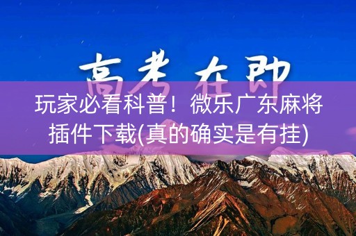 玩家必看科普！微乐广东麻将插件下载(真的确实是有挂)