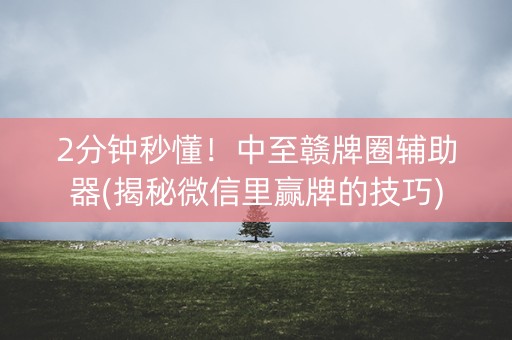 2分钟秒懂！中至赣牌圈辅助器(揭秘微信里赢牌的技巧)